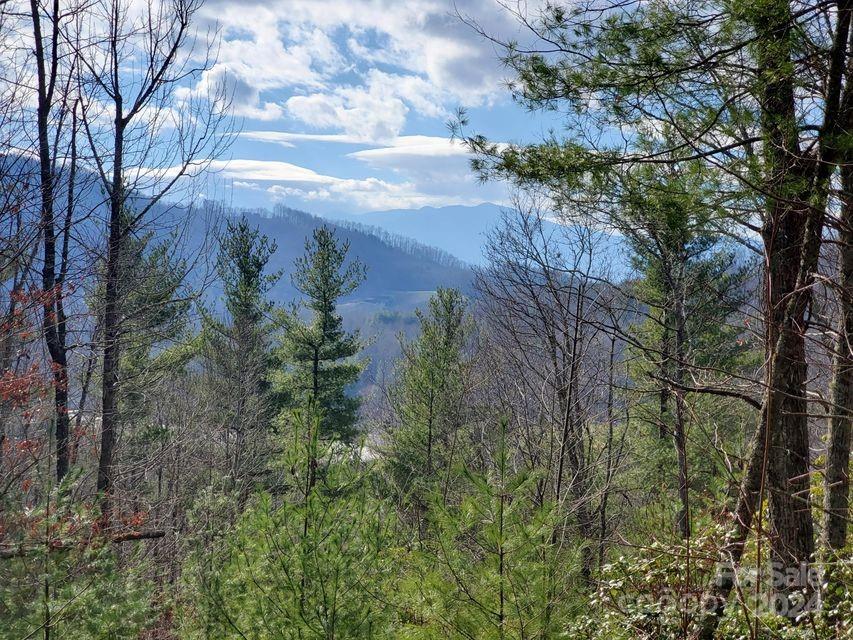 00 Elkins Road Bakersville NC 28705