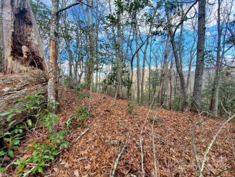 00 Elkins Road Bakersville NC 28705