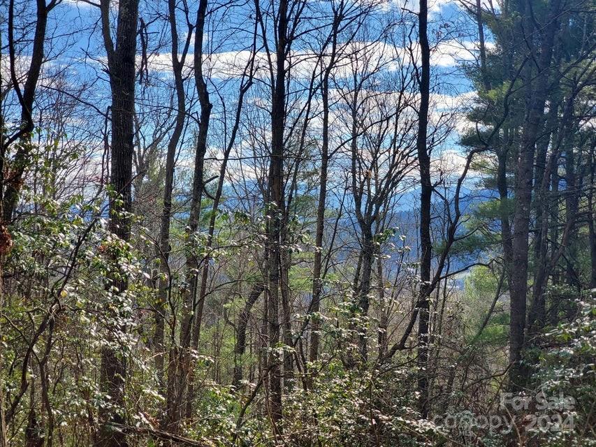 00 Elkins Road Bakersville NC 28705