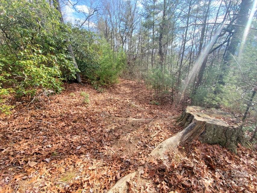 00 Elkins Road Bakersville NC 28705