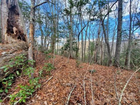 00 Elkins Road Bakersville NC 28705