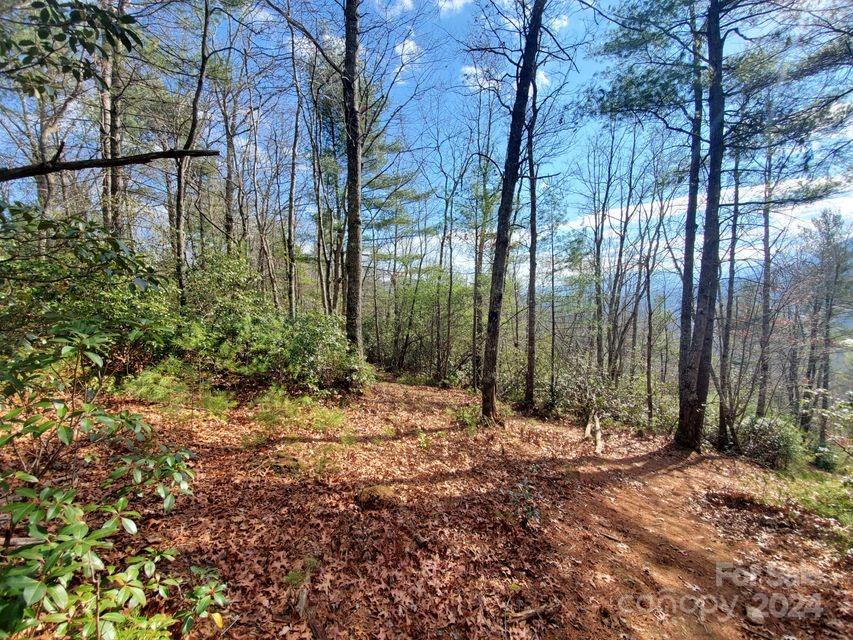 00 Elkins Road Bakersville NC 28705