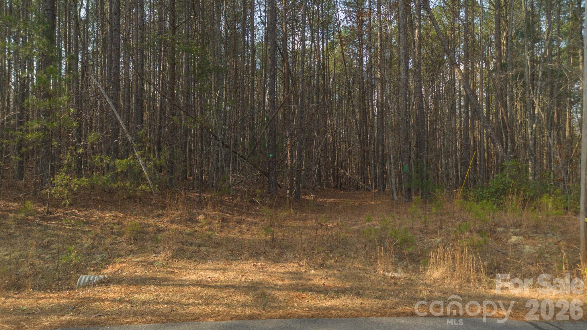 4196 South View Boulevard Morganton NC 28655