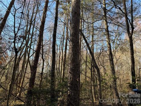 00 Pilgrim Church Road Hiddenite NC 28636