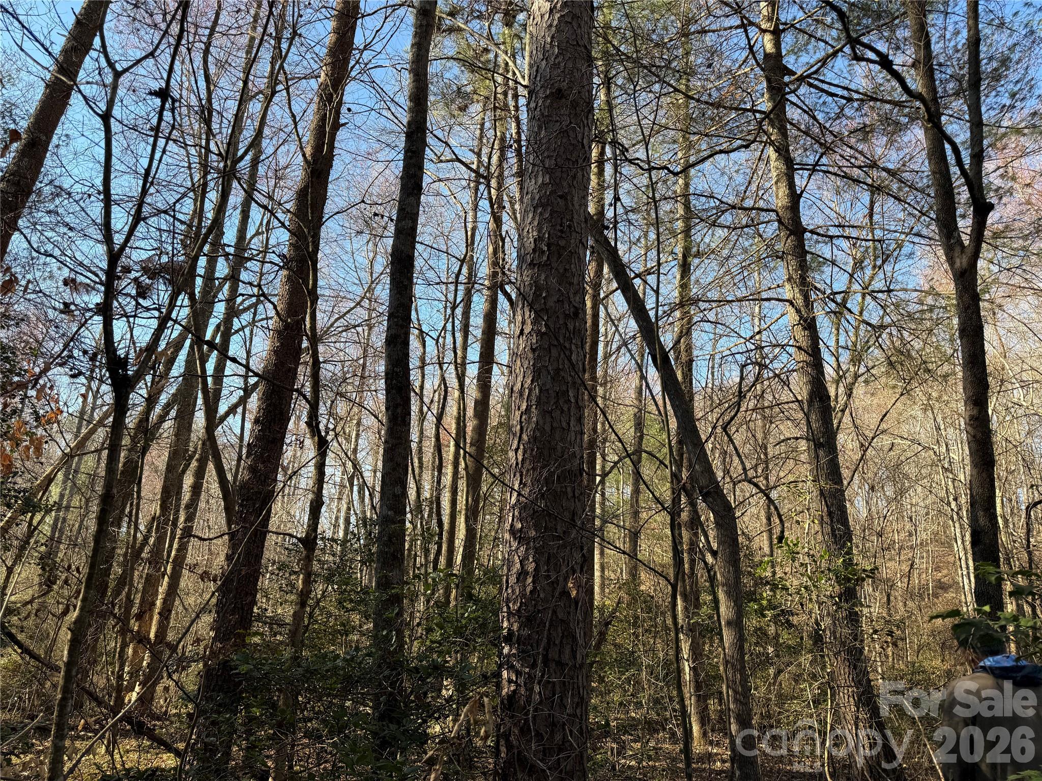 00 Pilgrim Church Road Hiddenite NC 28636