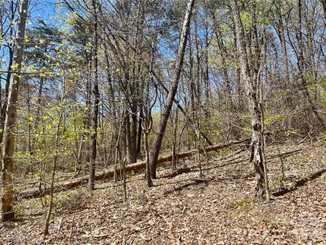 00 Pilgrim Church Road Hiddenite NC 28636