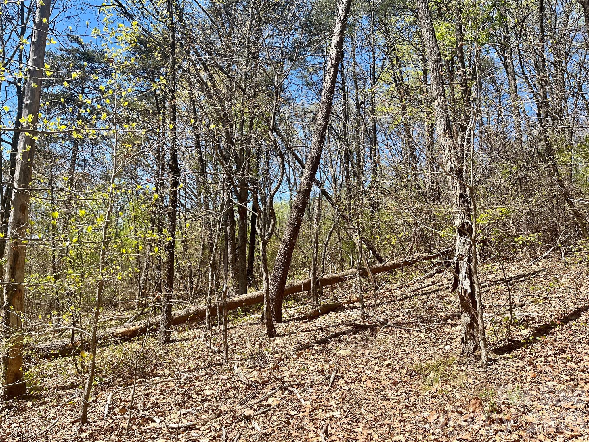 00 Pilgrim Church Road Hiddenite NC 28636