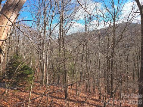 220 Sky Drive Maggie Valley NC 28751