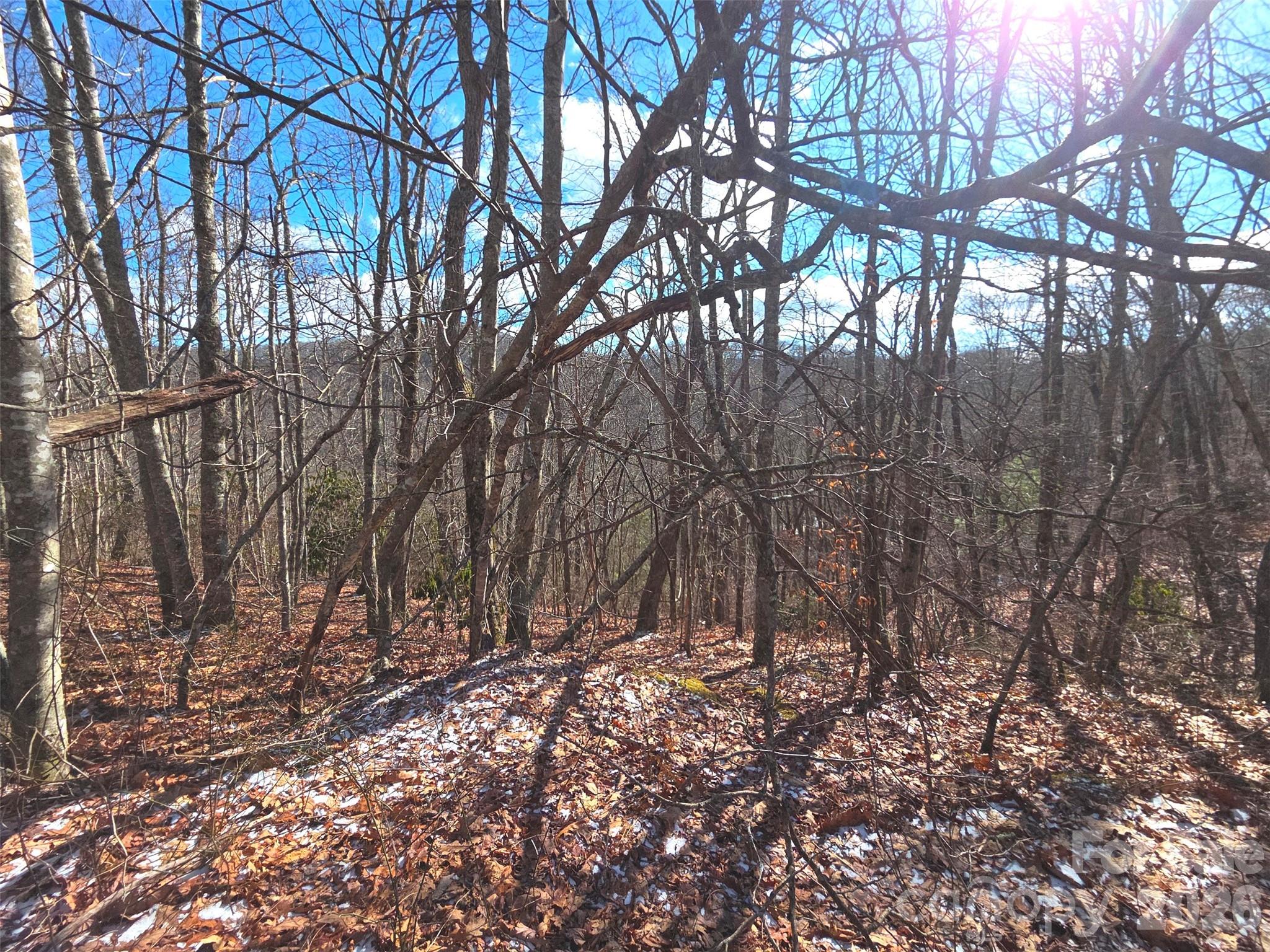 220 Sky Drive Maggie Valley NC 28751