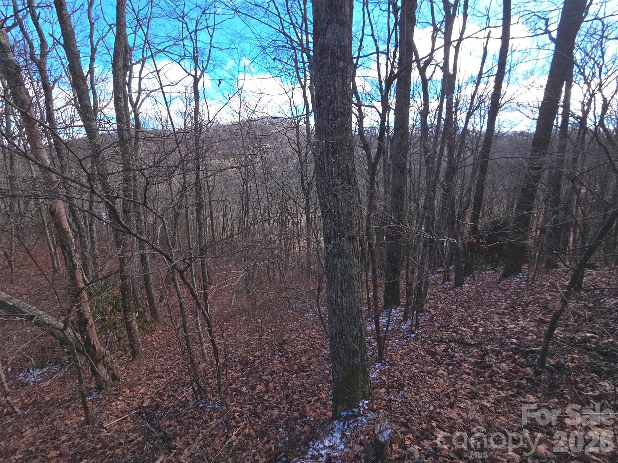 220 Sky Drive Maggie Valley NC 28751