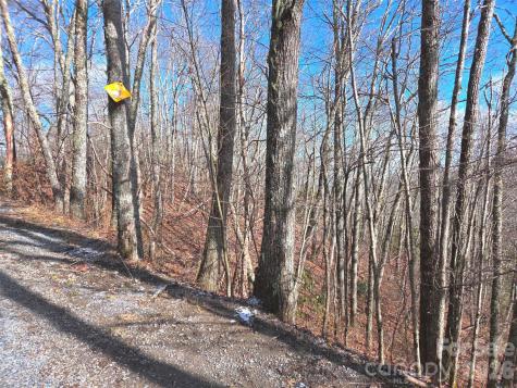220 Sky Drive Maggie Valley NC 28751