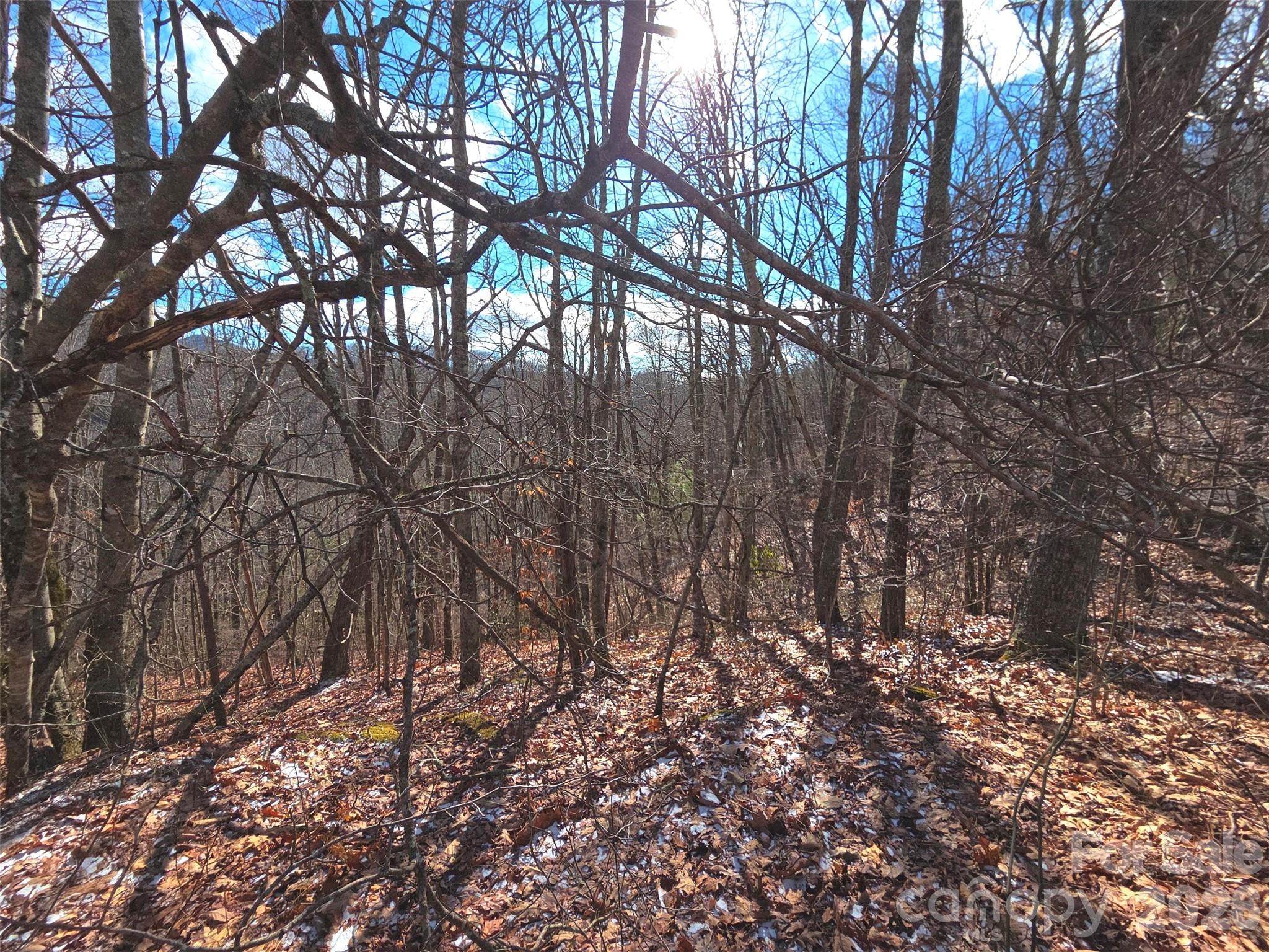 220 Sky Drive Maggie Valley NC 28751