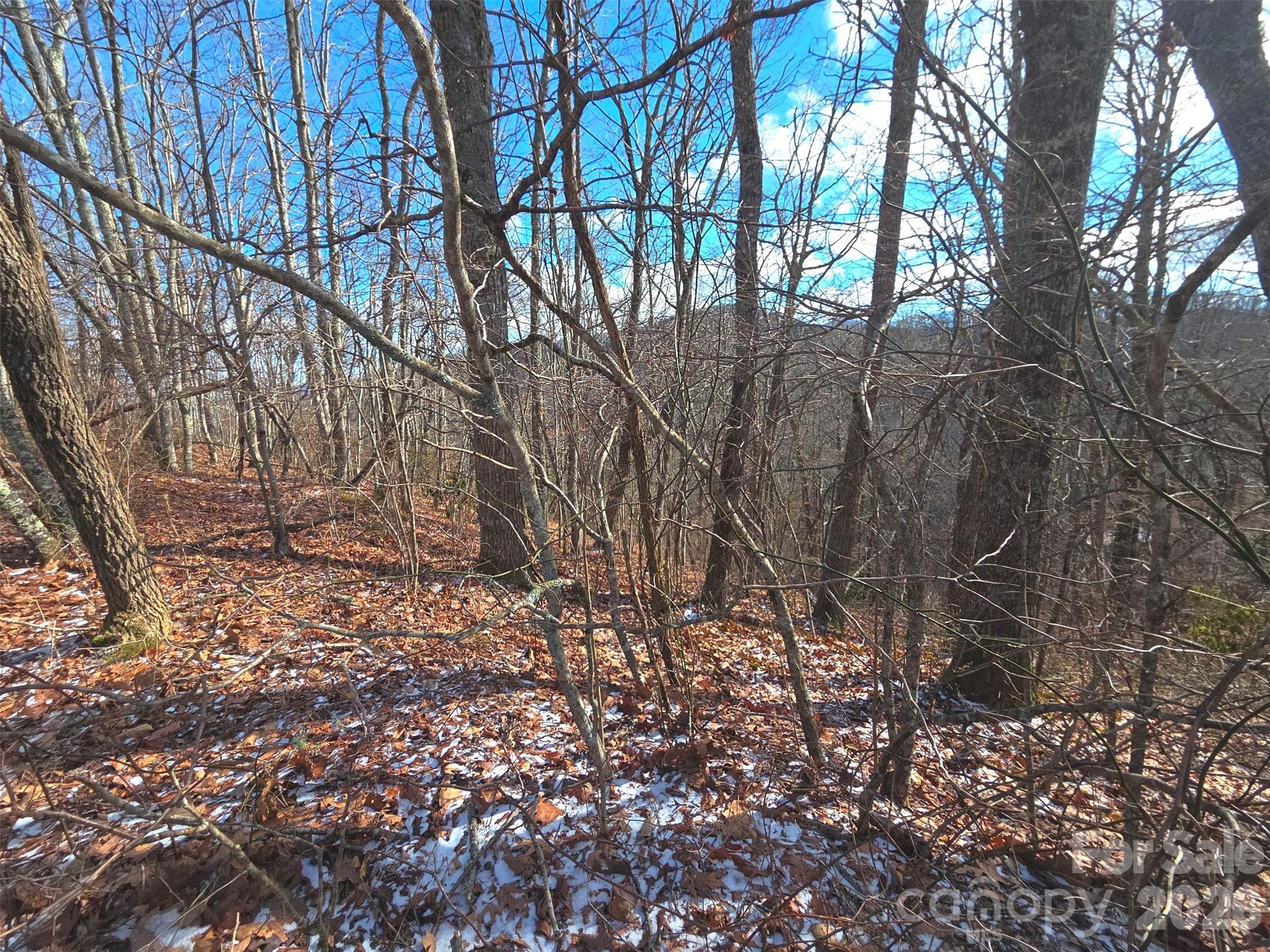 220 Sky Drive Maggie Valley NC 28751