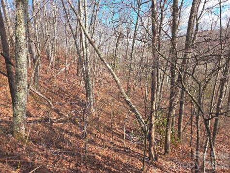 220 Sky Drive Maggie Valley NC 28751
