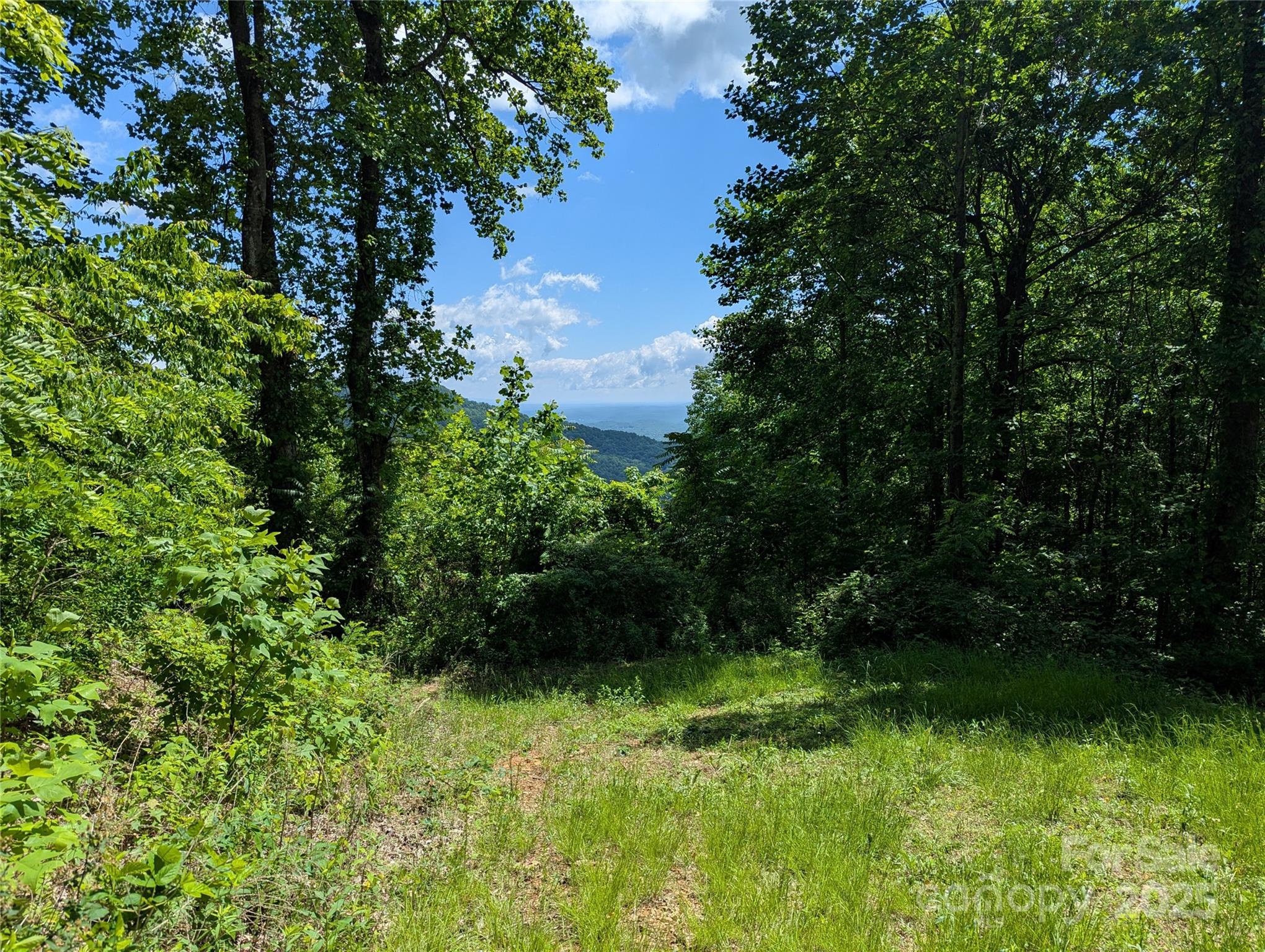 67 Creston Drive Black Mountain NC 28711
