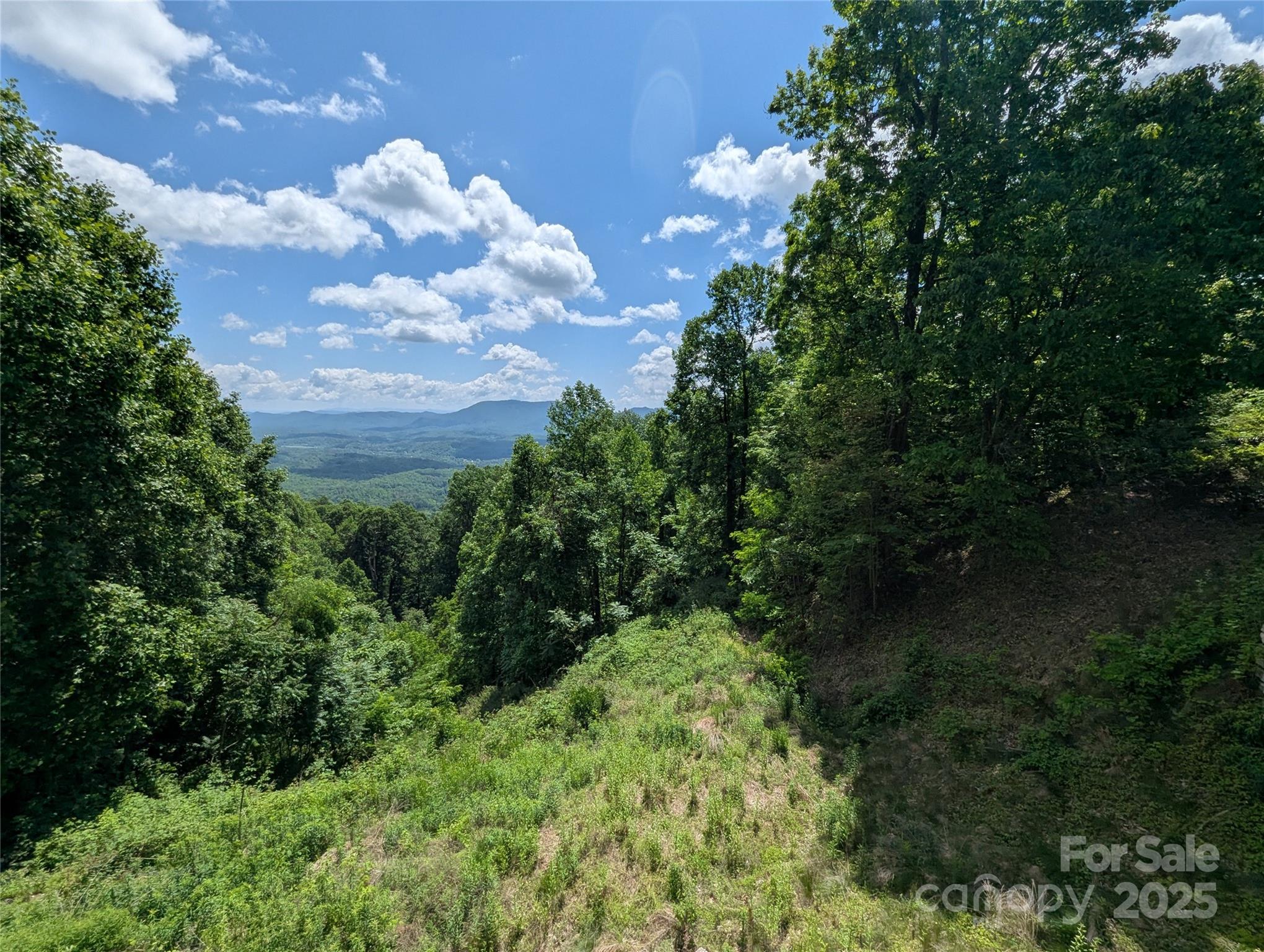 67 Creston Drive Black Mountain NC 28711