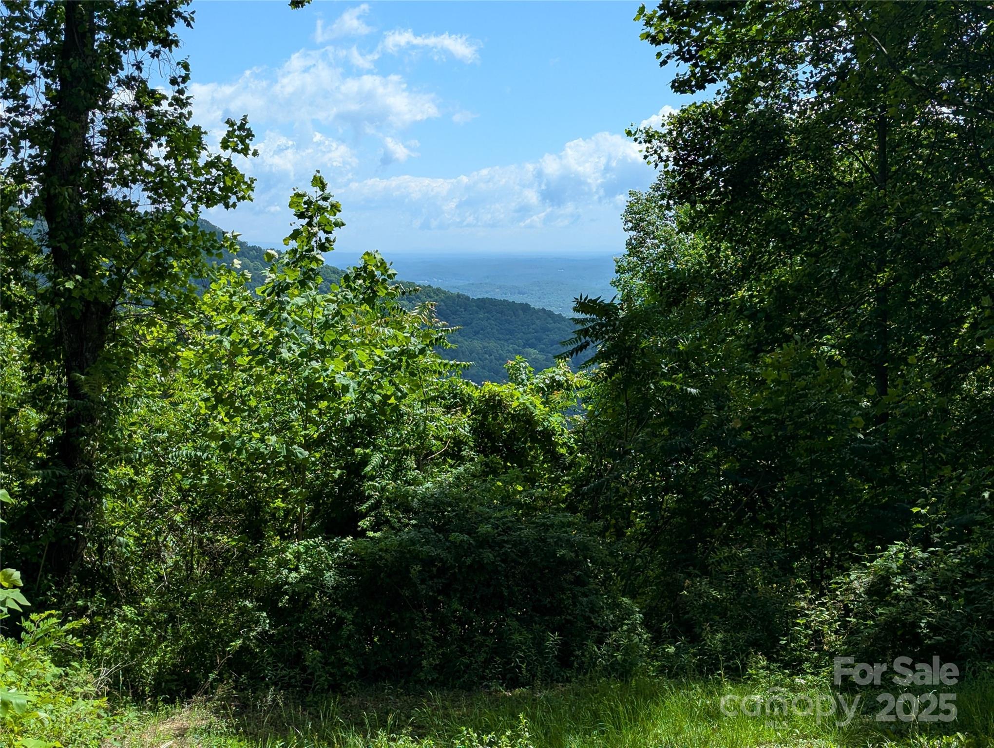 67 Creston Drive Black Mountain NC 28711