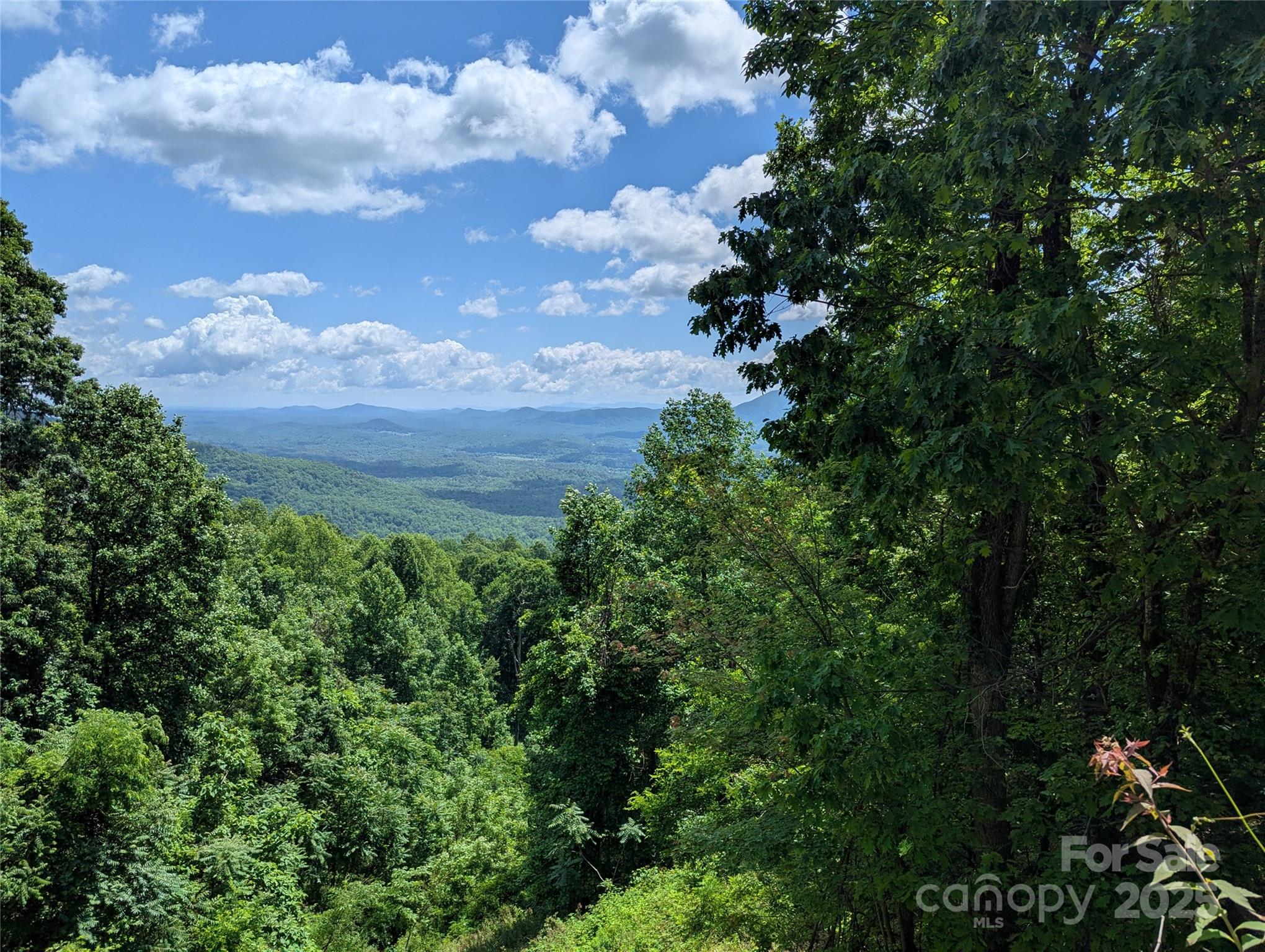 67 Creston Drive Black Mountain NC 28711