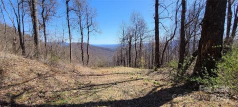 67 Creston Drive Black Mountain NC 28711