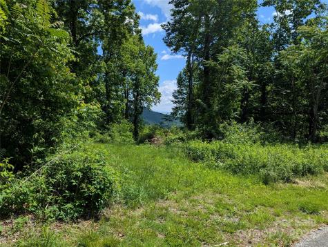67 Creston Drive Black Mountain NC 28711