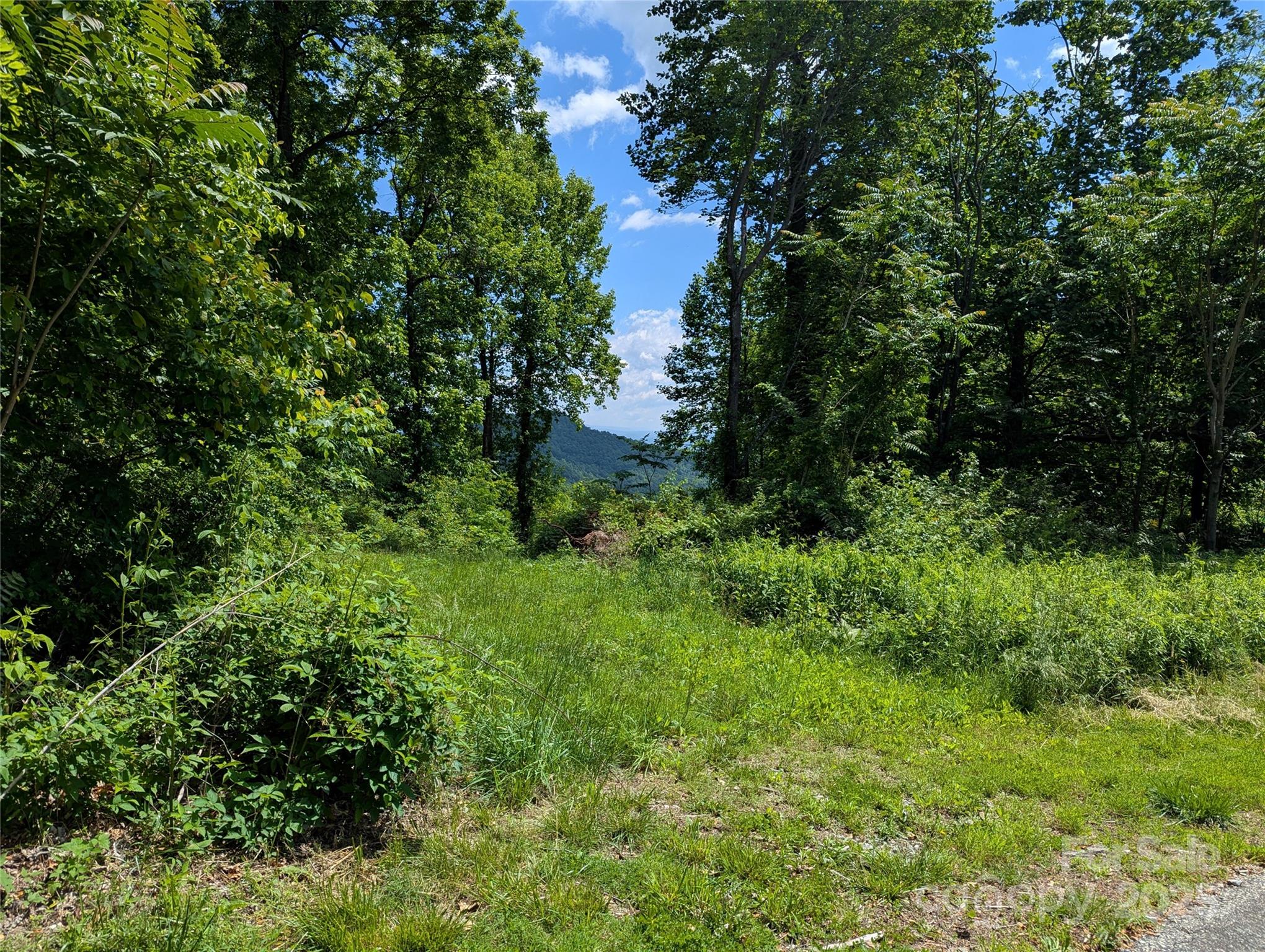 67 Creston Drive Black Mountain NC 28711