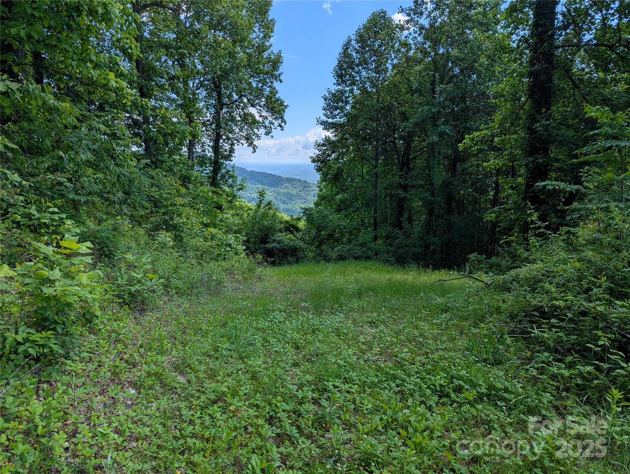 67 Creston Drive Black Mountain NC 28711