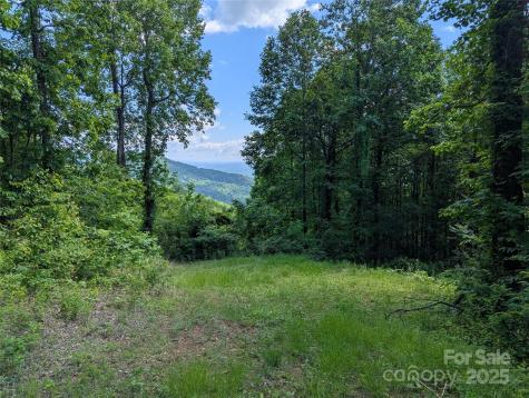 67 Creston Drive Black Mountain NC 28711