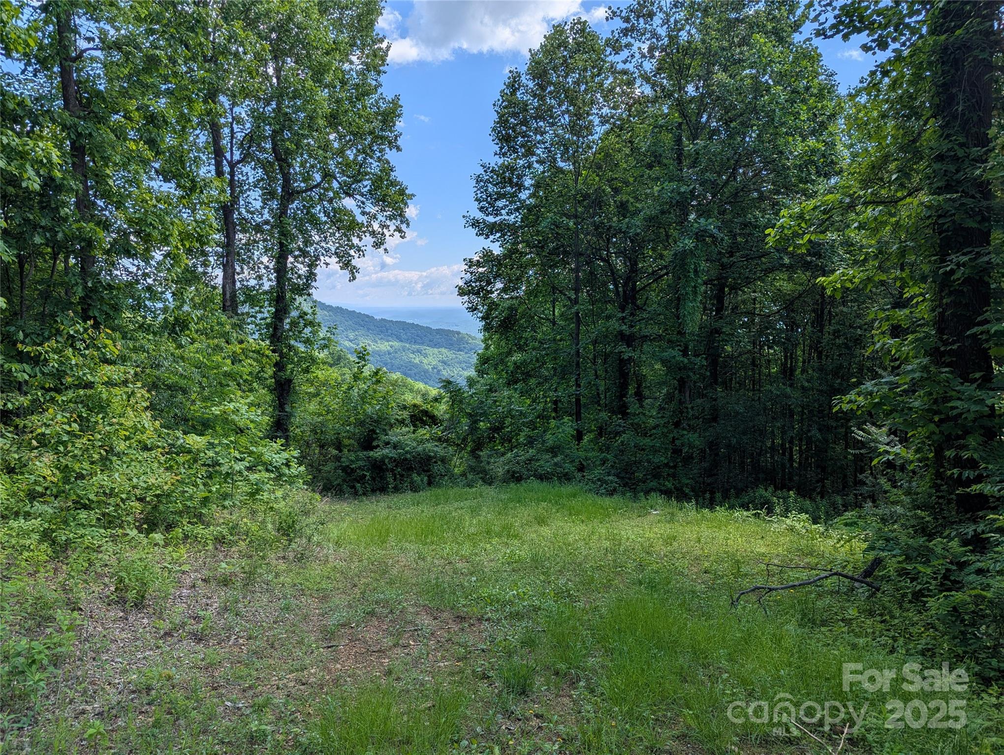 67 Creston Drive Black Mountain NC 28711