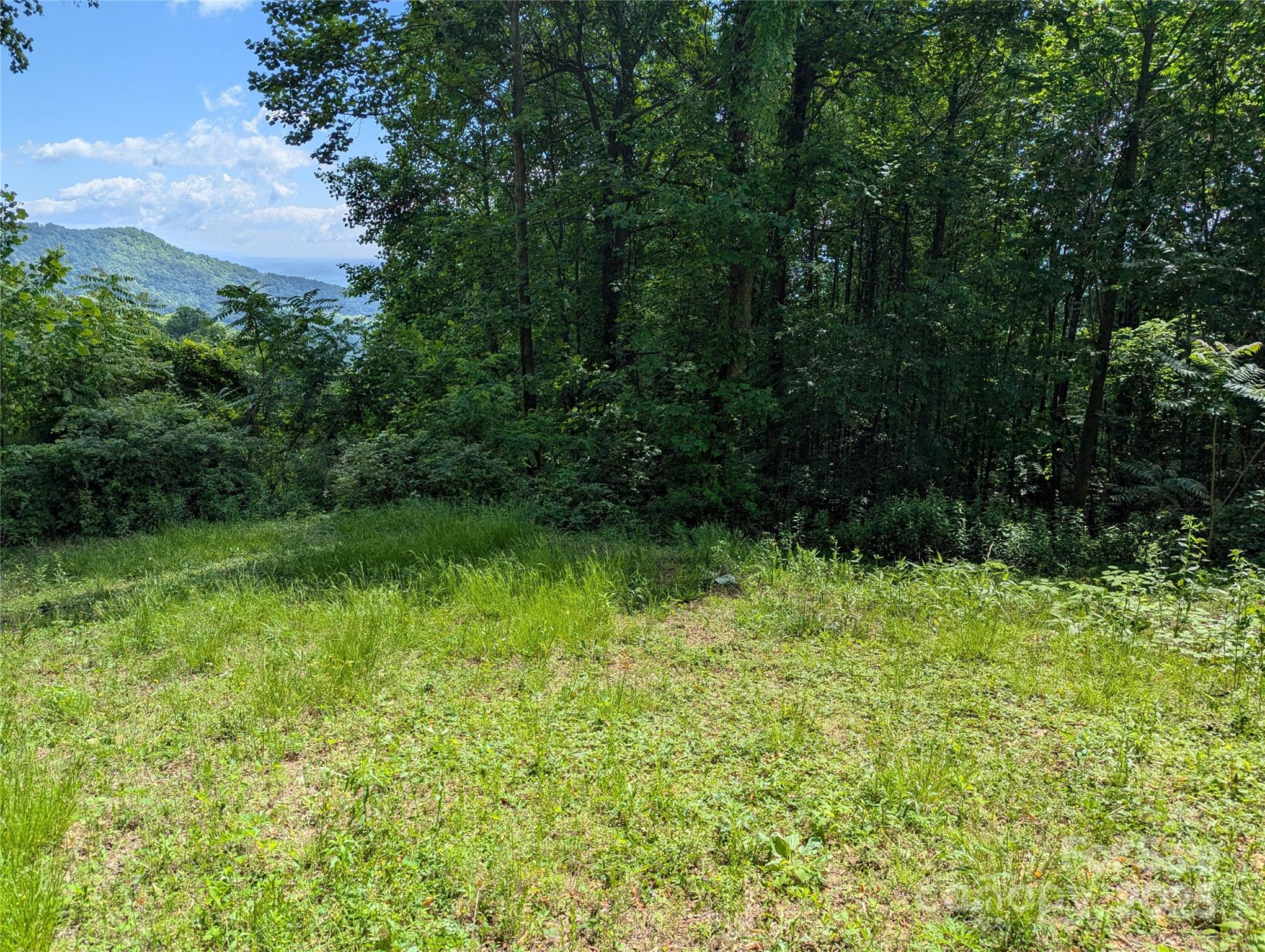 67 Creston Drive Black Mountain NC 28711