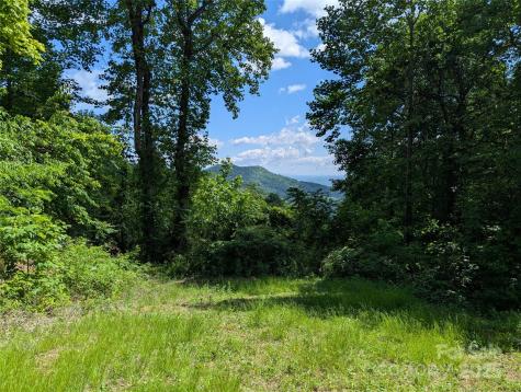 67 Creston Drive Black Mountain NC 28711