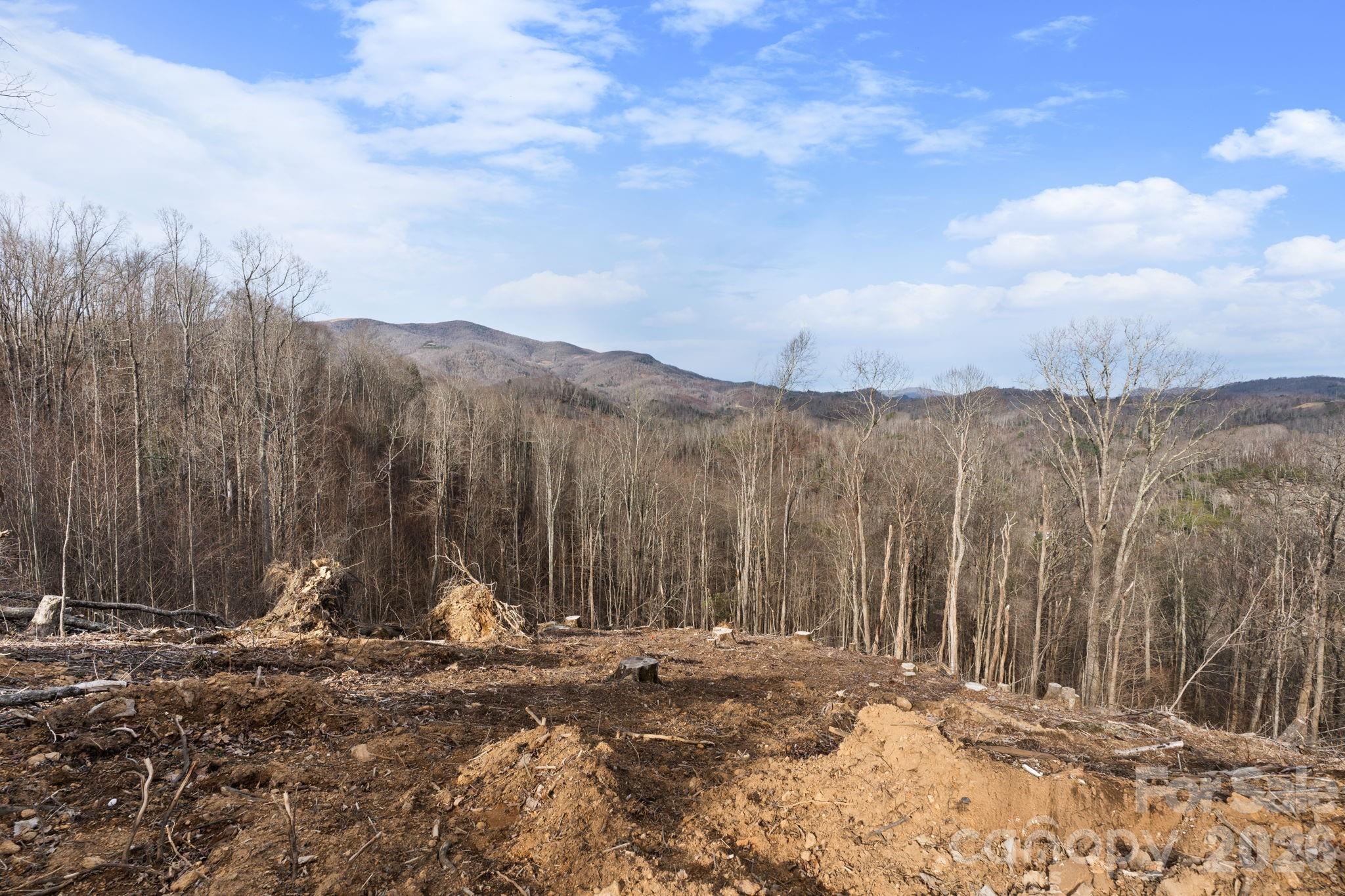 Tbd Pinnacle View Elk Park NC 28622