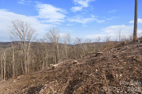 Tbd Pinnacle View Elk Park NC 28622