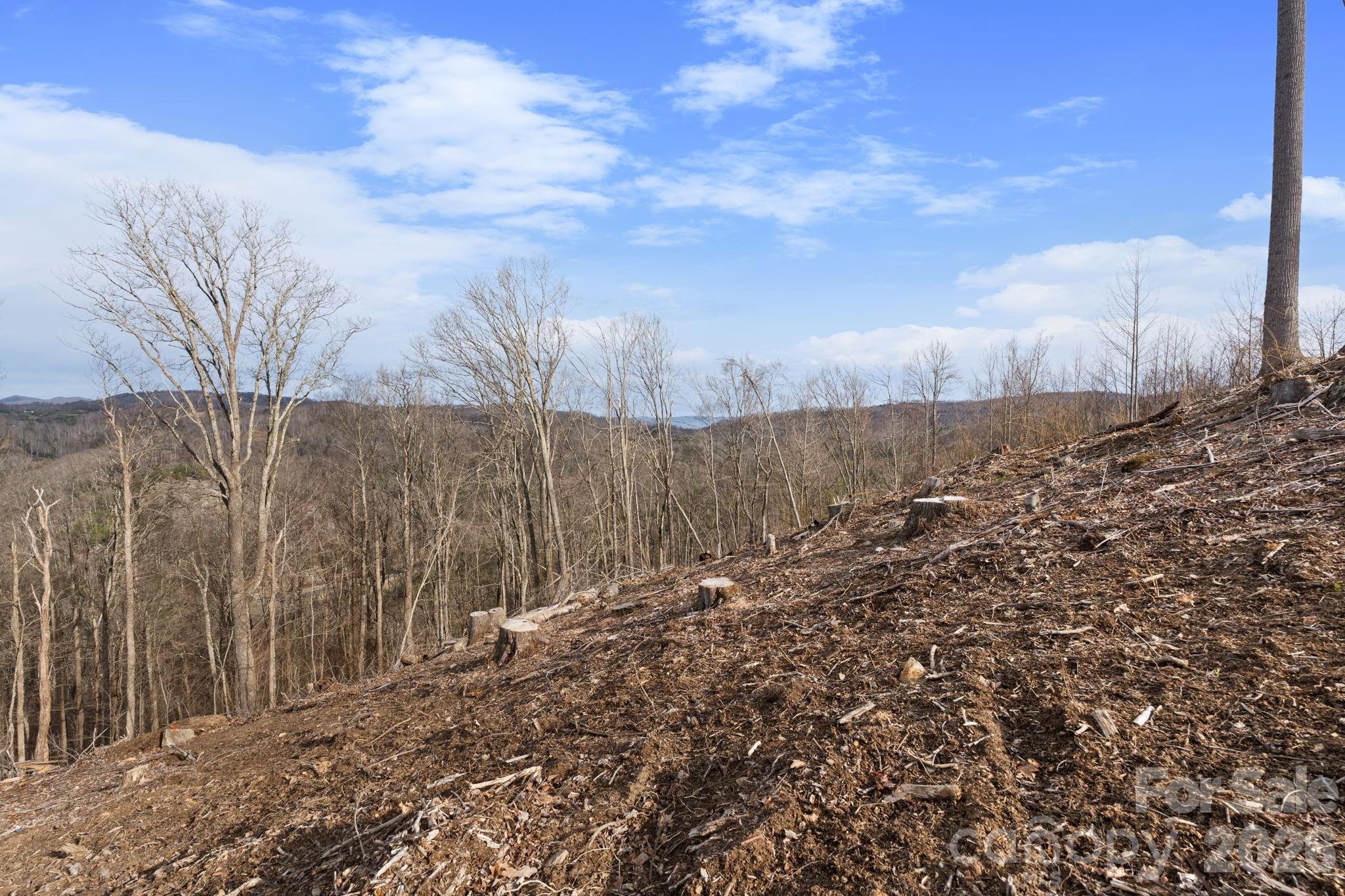 Tbd Pinnacle View Elk Park NC 28622