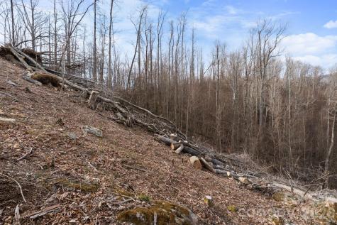 Tbd Pinnacle View Elk Park NC 28622