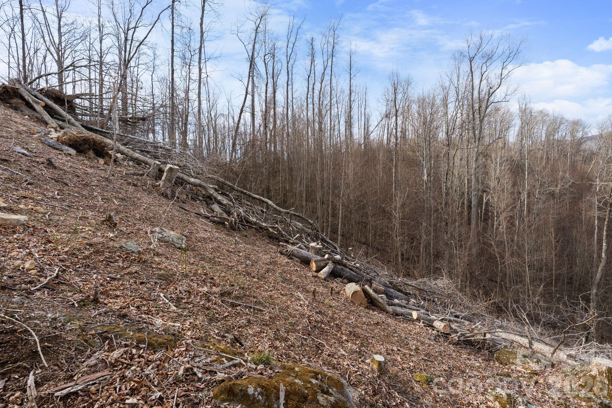 Tbd Pinnacle View Elk Park NC 28622