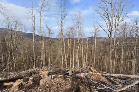 Tbd Pinnacle View Elk Park NC 28622