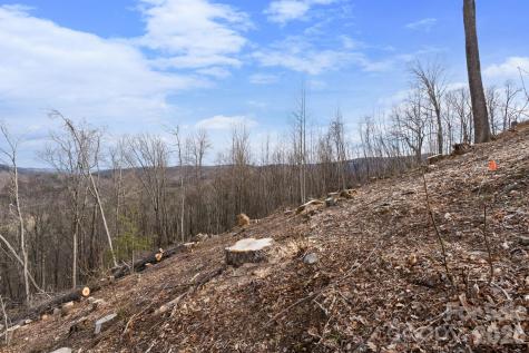 Tbd Pinnacle View Elk Park NC 28622