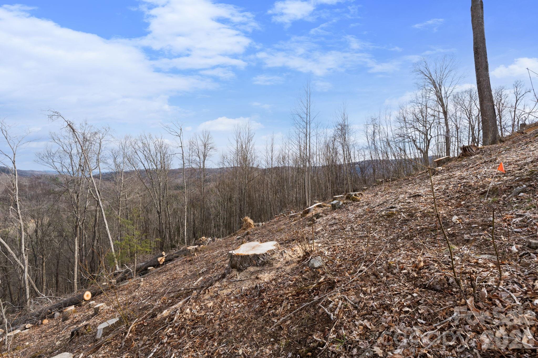 Tbd Pinnacle View Elk Park NC 28622