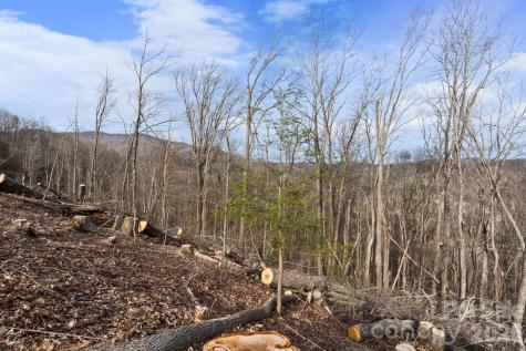 Tbd Pinnacle View Elk Park NC 28622