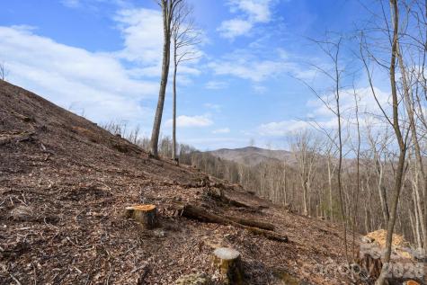 Tbd Pinnacle View Elk Park NC 28622