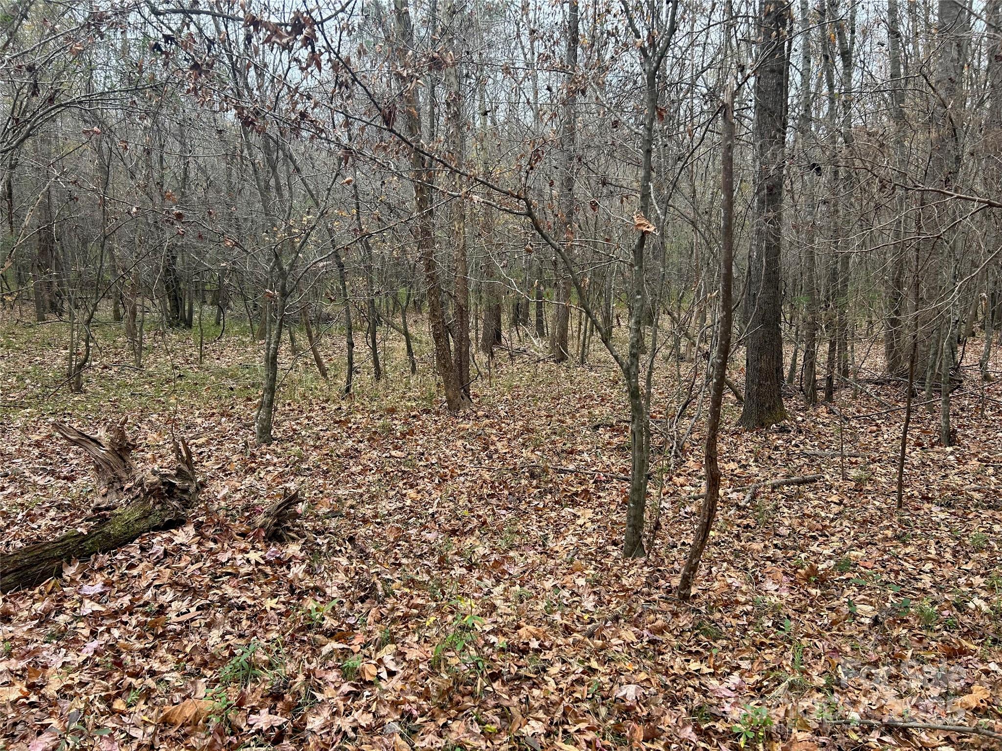 3080 Charlotte Highway Lancaster SC 29720