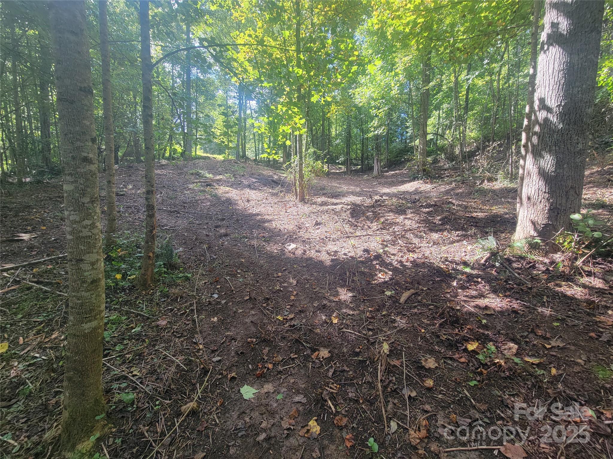 00 Bradford Park Clyde NC 28721
