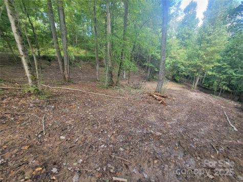 00 Bradford Park Clyde NC 28721