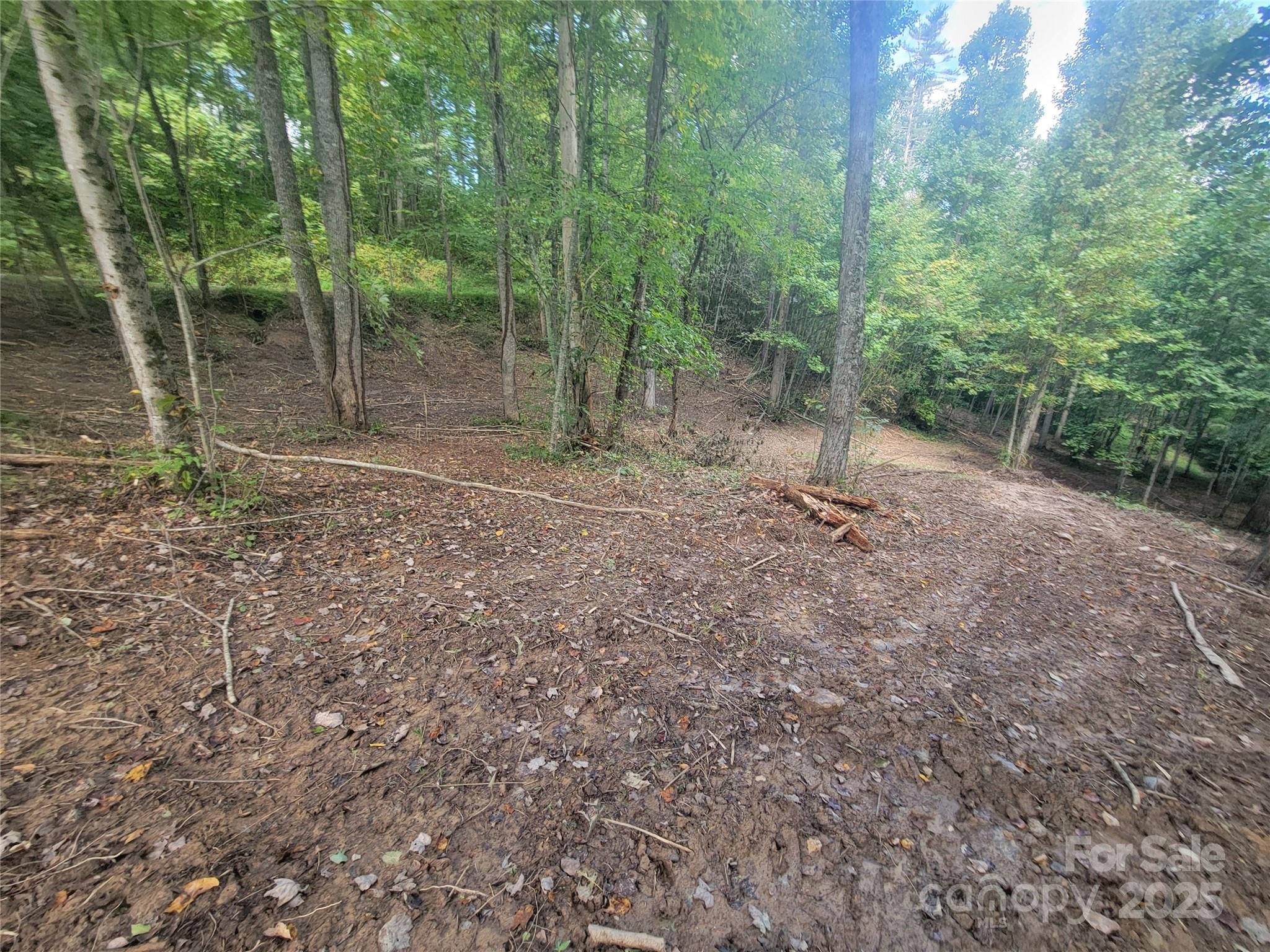 00 Bradford Park Clyde NC 28721