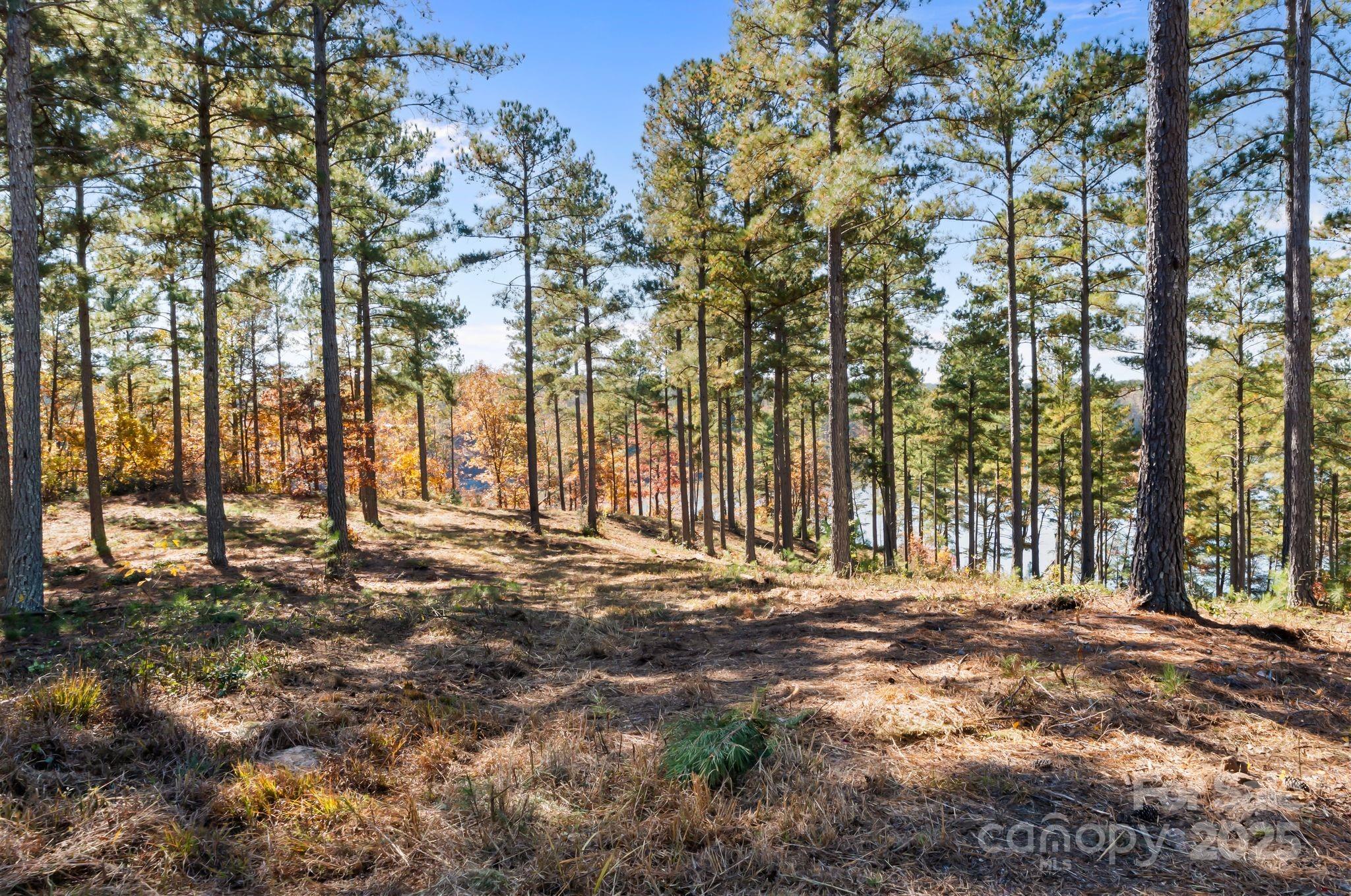 00 Liberty Road Granite Falls NC 28630