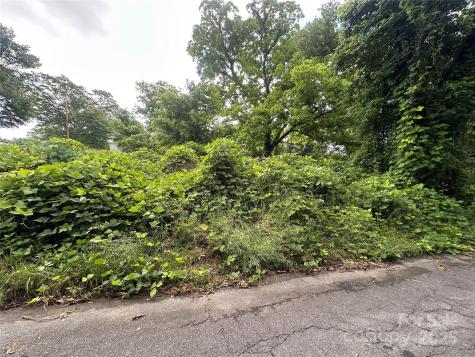 65 Walnut Street Great Falls SC 29055