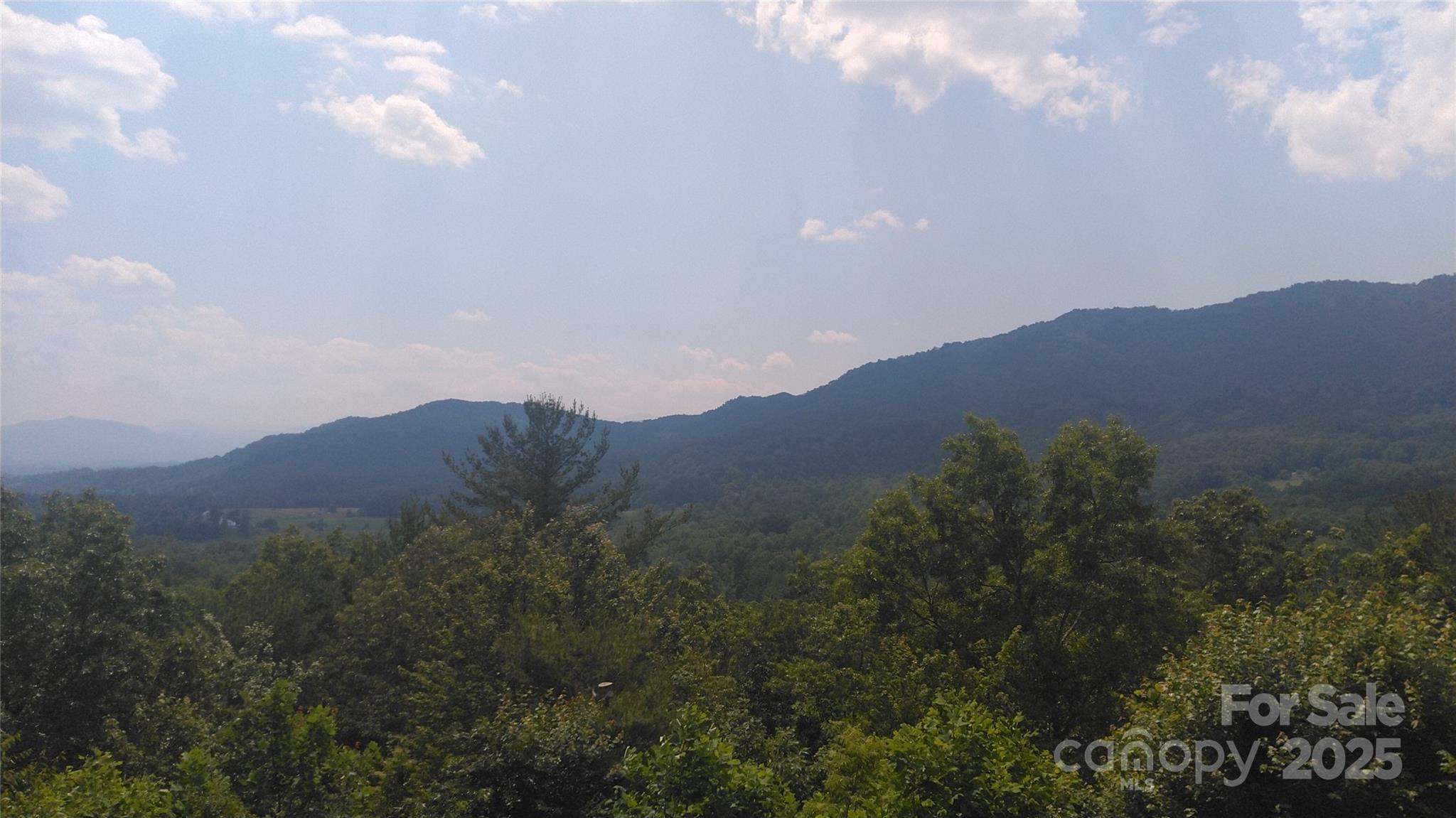 Lot 17 Deer Ridge Trail Marion NC 28752