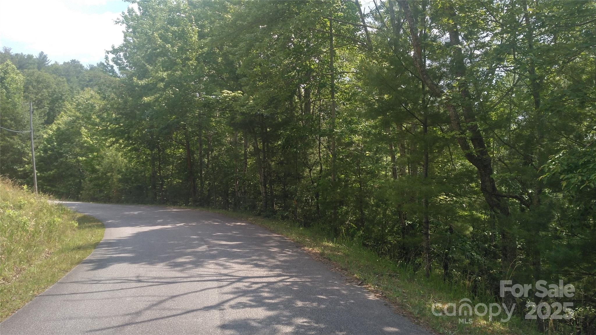 Lot 17 Deer Ridge Trail Marion NC 28752