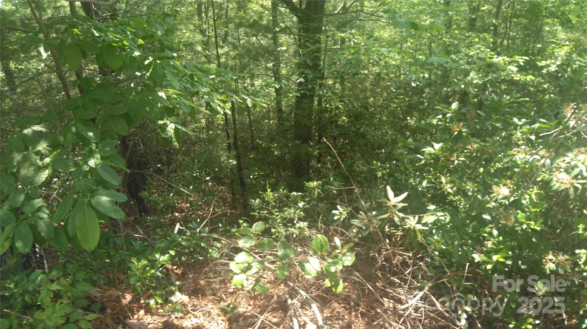 Lot 17 Deer Ridge Trail Marion NC 28752