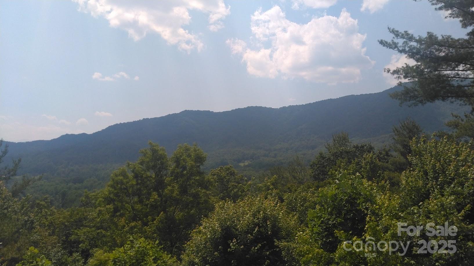 Lot 17 Deer Ridge Trail Marion NC 28752
